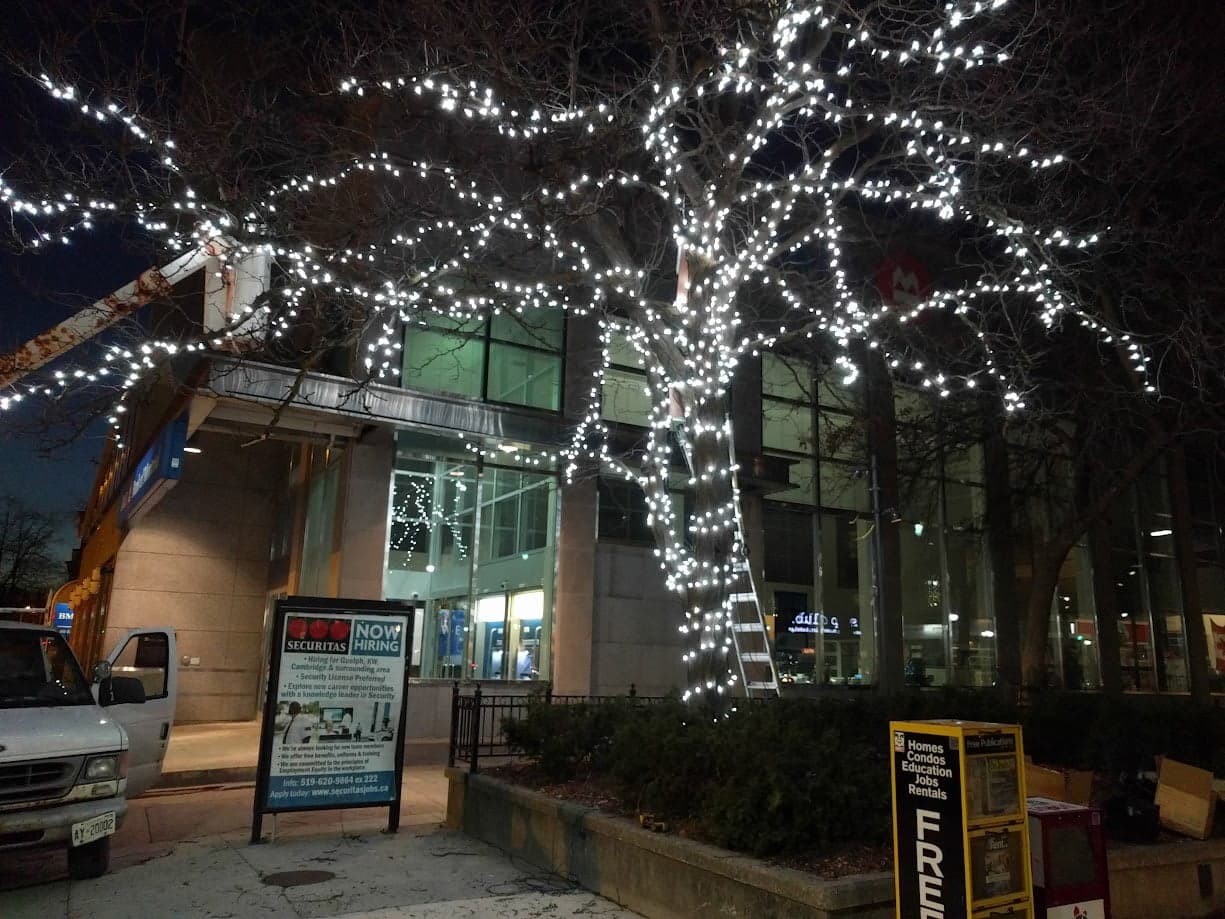 Commercial Christmas lighting installation on a business in Guelph Ontario by Classic Christmas Lighting