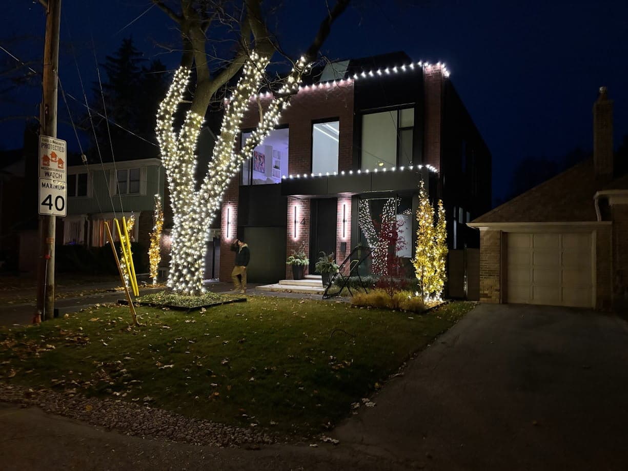Professional tree lighting service in Guelph Ontario - trees wrapped in Christmas lights by Classic Christmas Lighting