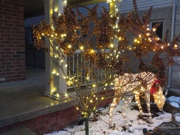 Professional Christmas light installation in Woodstock, ON by Classic Christmas Lighting