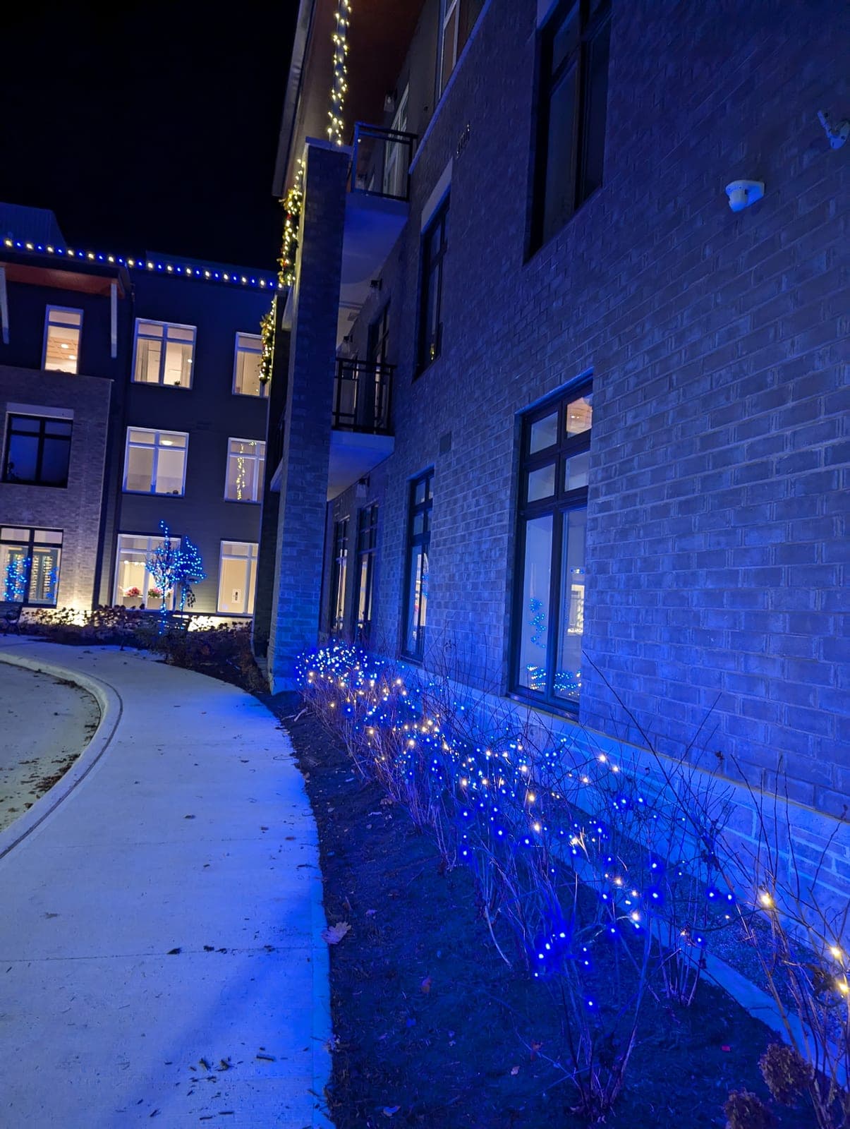 Blue-lit shrubs and warm-white column garland along a commercial building walkway at night