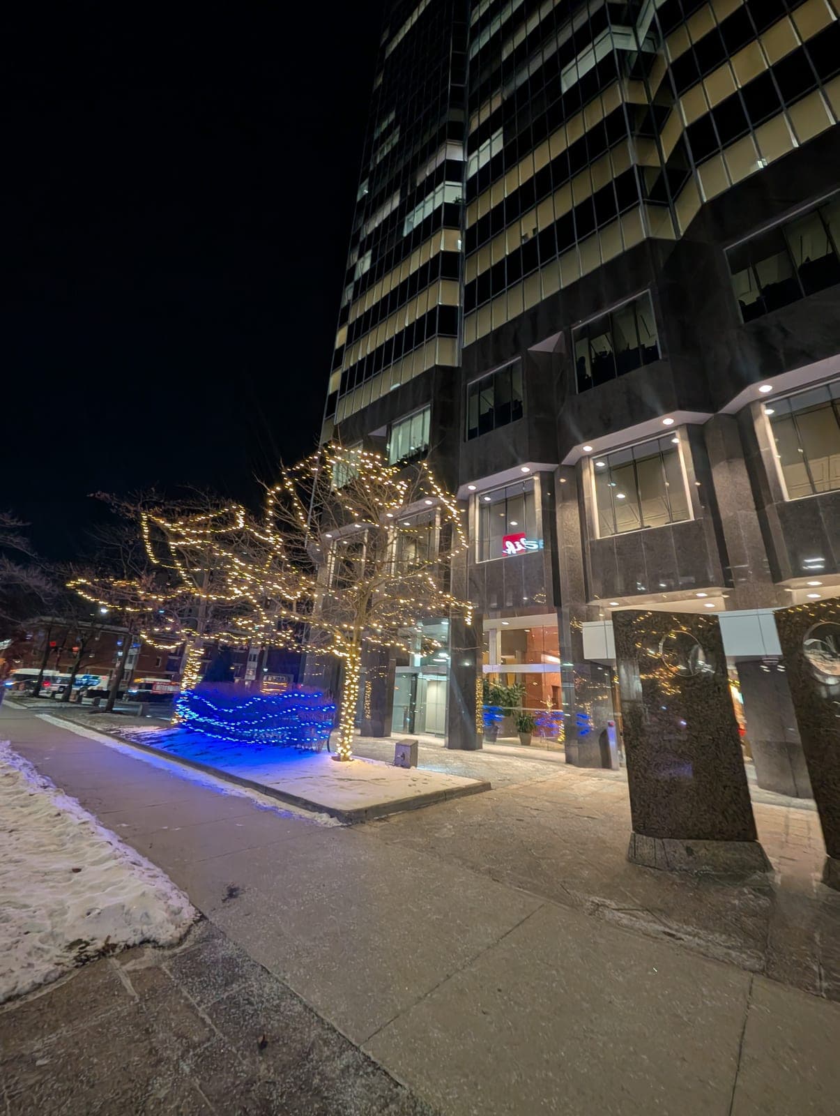 Downtown office building entrance with a tree wrapped in warm-white lights and blue-lit shrubs at night.