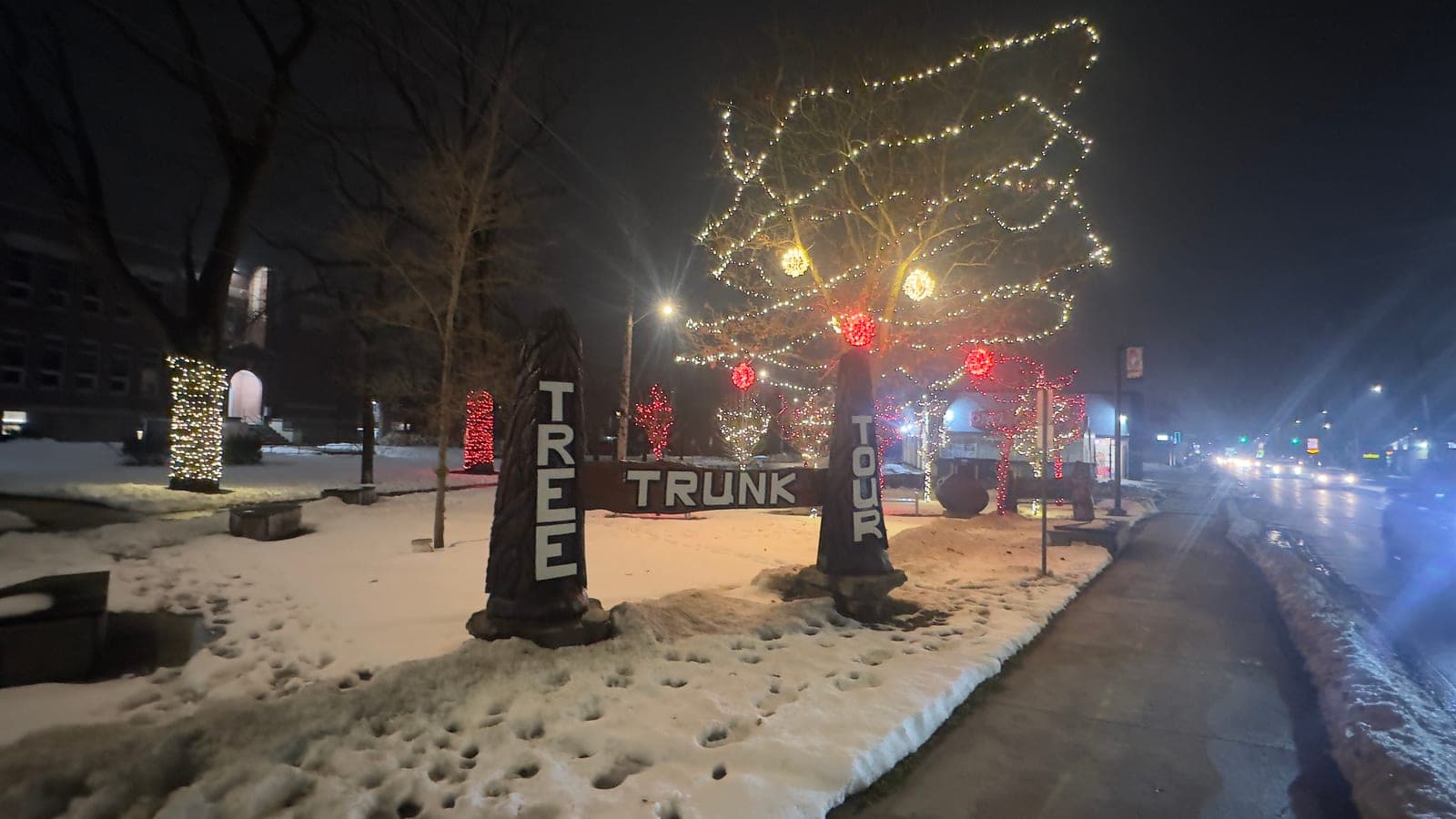 Downtown Tree Trunk Tour holiday display with a large tree strung in lights and red ornaments over snow at night