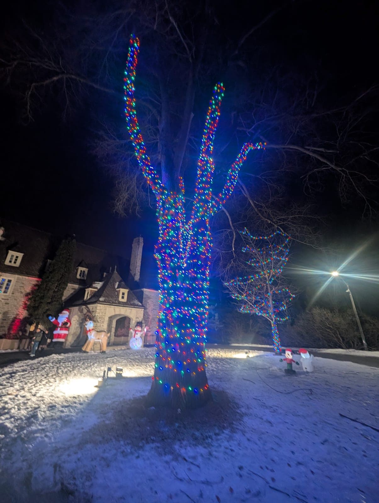 Towering estate tree wrapped in colourful Christmas lights beside a stone manor with inflatable holiday decorations