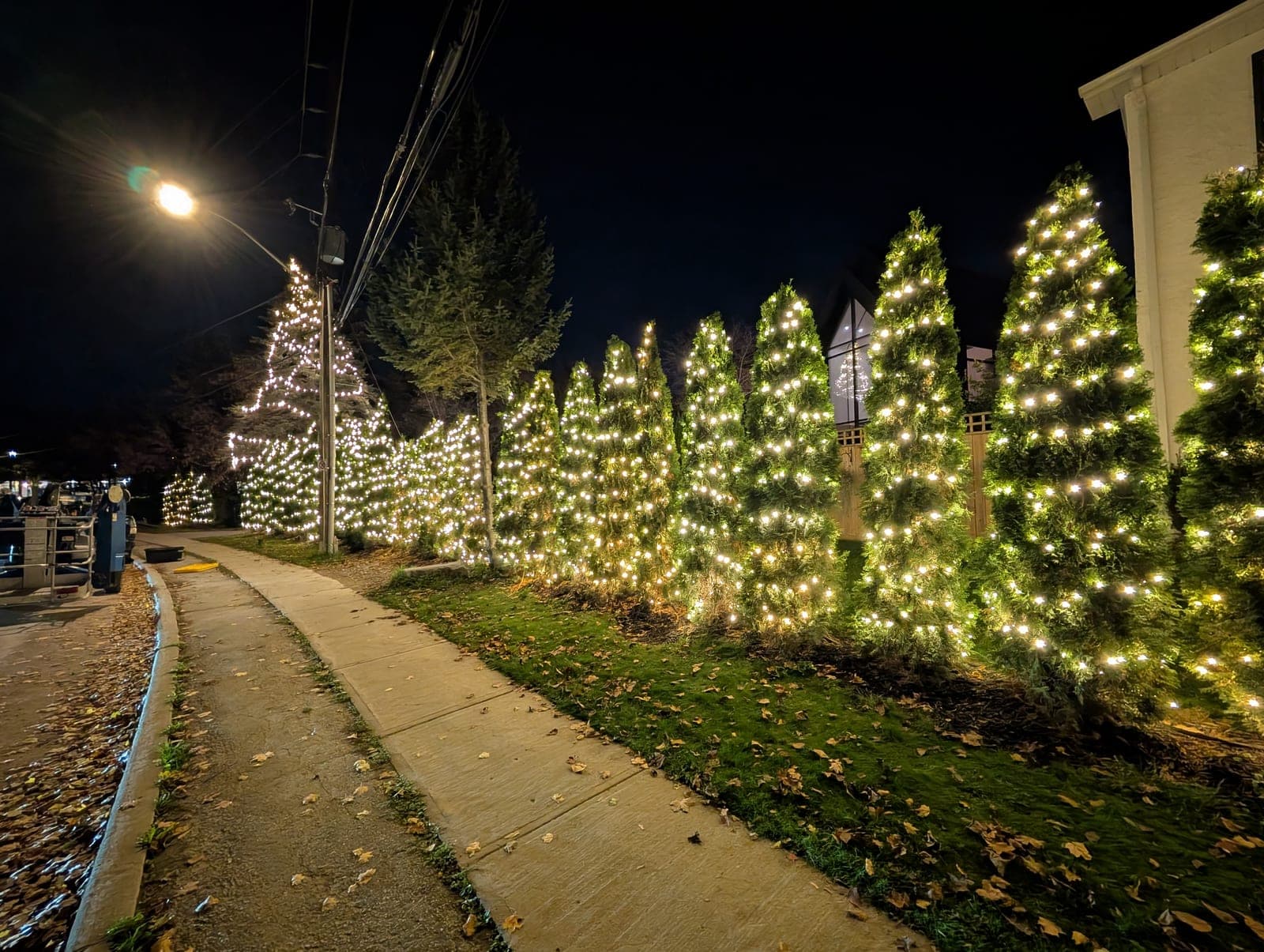 Evergreen shrubs and trees lit with warm-white Christmas lights beside a sidewalk at night