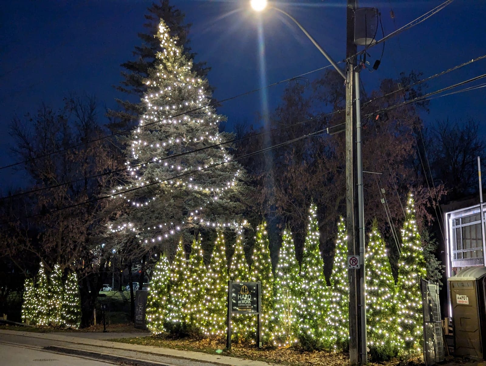 Giant evergreen wrapped in spiral warm-white lights above a row of lit cone trees at a business