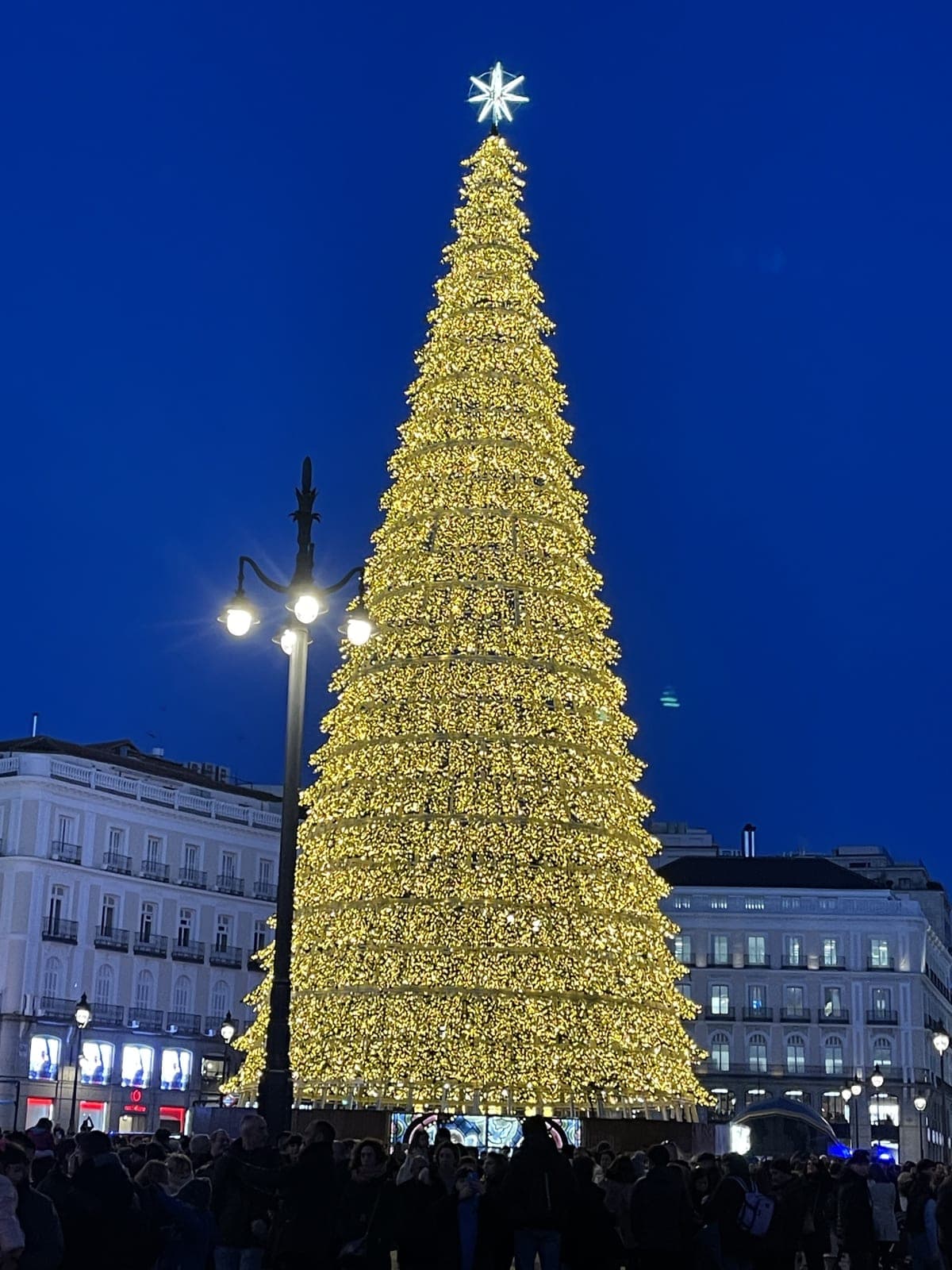 Towering golden cone-shaped Christmas tree glowing at night in a downtown city plaza with a lit star topper