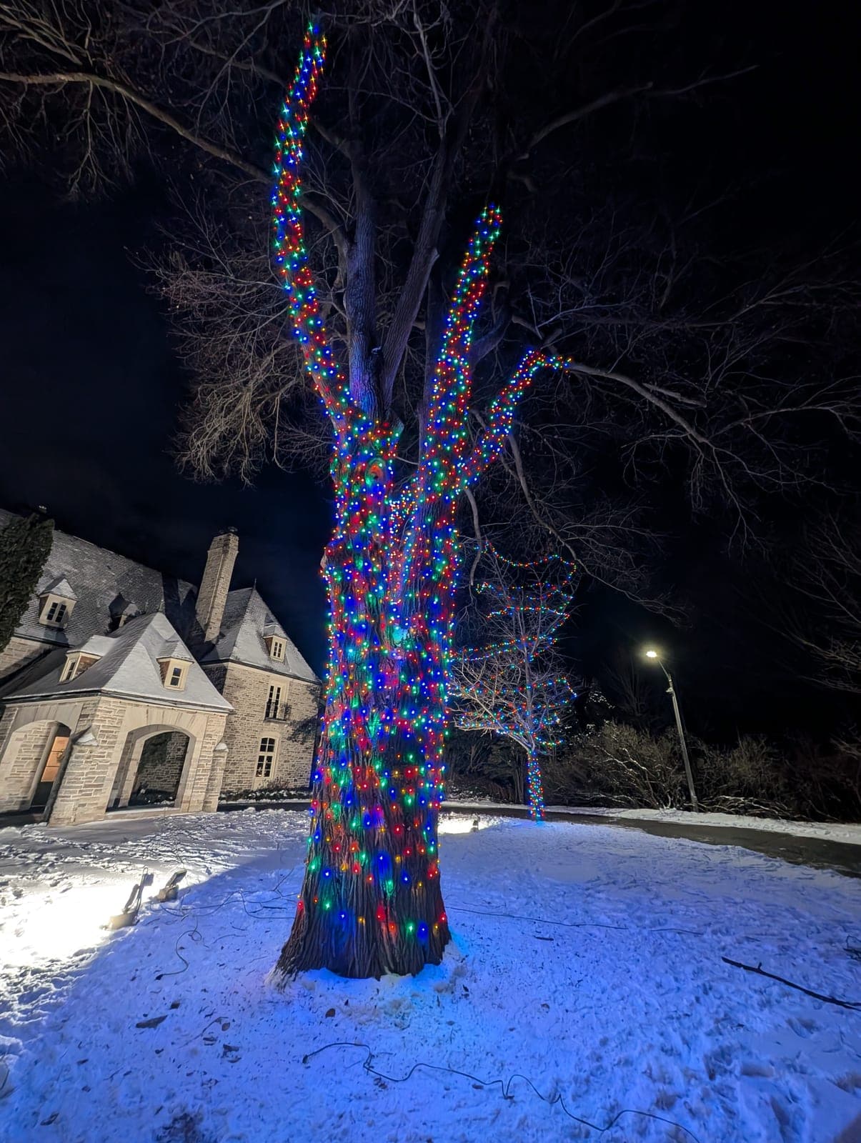 Multicolour LED-wrapped tree glowing over snow beside a grand stone estate at night